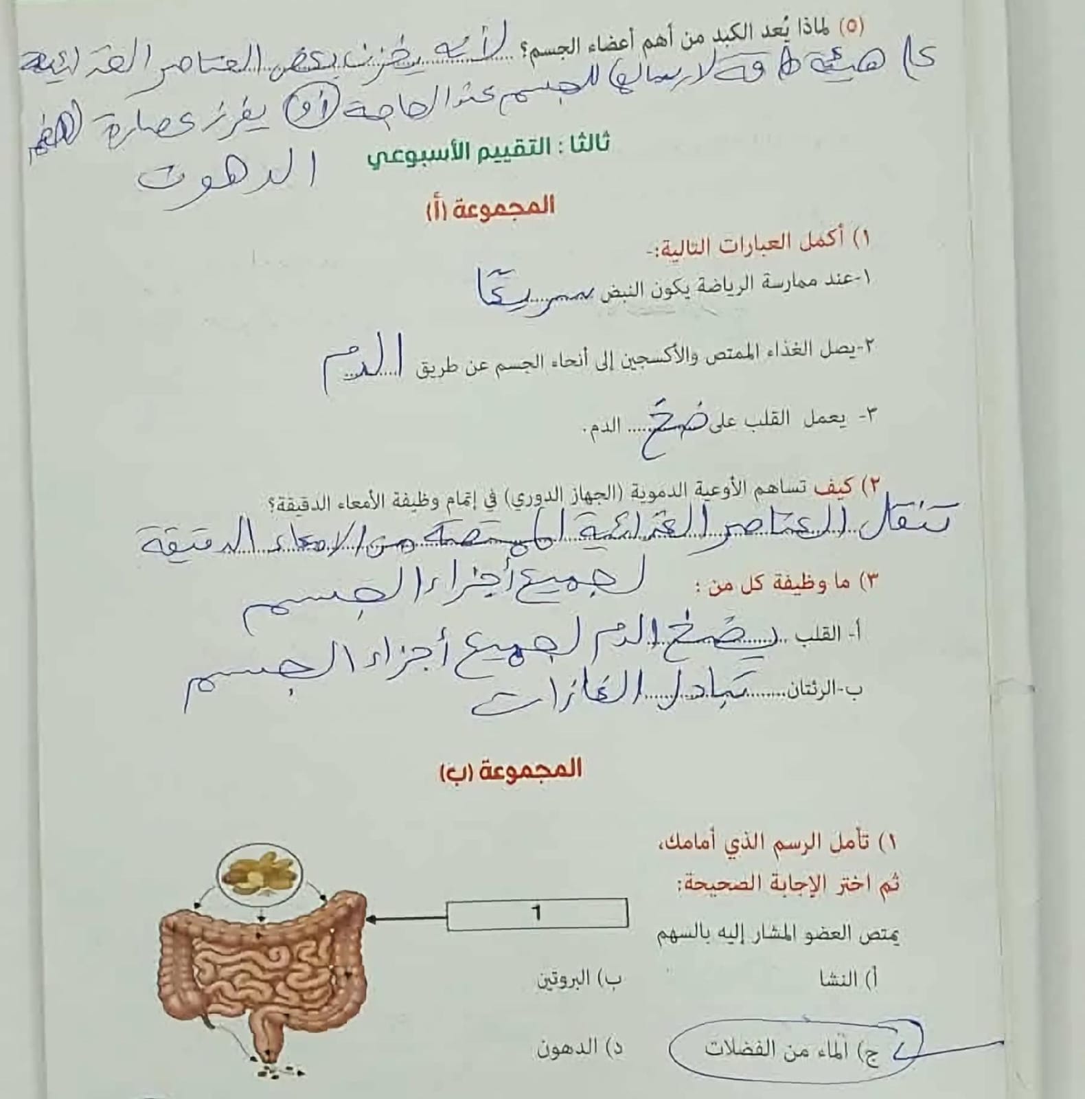 حل تقييمات علوم2